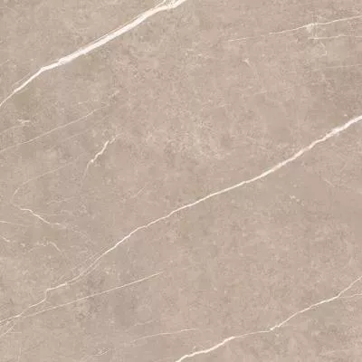 Плитка Tau Ceramica Elite Greige Pul 60x60, Фото