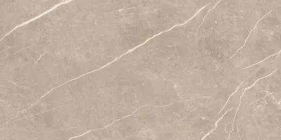 Плитка Tau Ceramica Elite Greige Pul 90x180, Фото