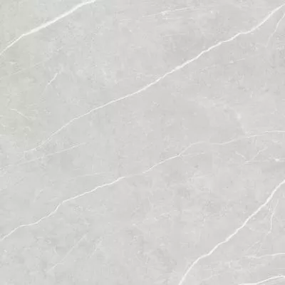 Плитка Tau Ceramica Elite Silver Matt 90x90, Фото