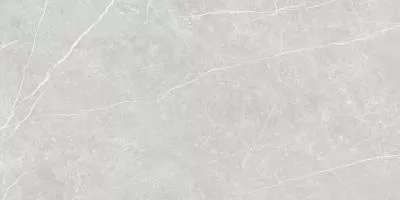 Плитка Tau Ceramica Elite Silver Matt Rec 60x120, Фото