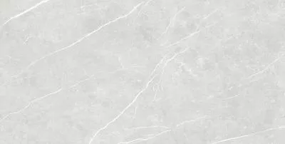 Плитка Tau Ceramica Elite Silver Pul 90x180, Фото