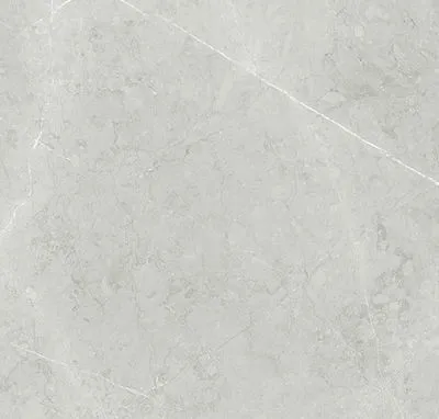 Плитка TAU CERAMICA M15 ALTAMURA SILVER Pulido 60x60, Фото