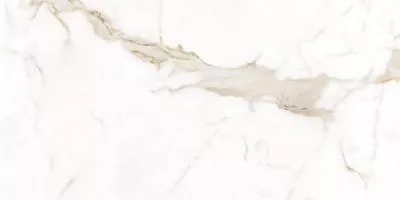 Плитка Teo Ceramics Alcora Gold F P R Satin 60x120, Фото