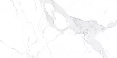 Плитка Teo Ceramics Avenzo Silver F P R Satin 60x120, Фото