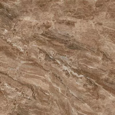 Плитка Teo Ceramics Bruno brown F P 60x60 RN Mat, Фото