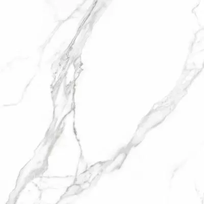 Плитка Teo Ceramics Carrara White F P Mat 60x60, Фото