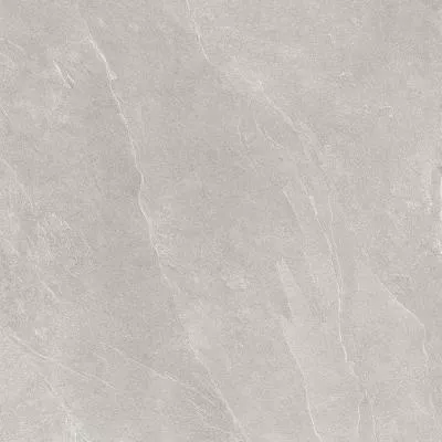 Плитка Teo Ceramics Leon Silver F P 1200x1200x8 R Mat, Фото
