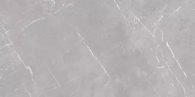 Плитка Teo Ceramics Marmolino Silver F P Mat R 60x120, Фото