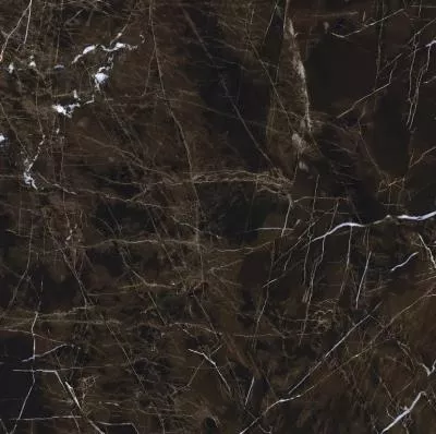 Плитка Teo Ceramics Pulpis Brown F P R Full lappato 60x60, Фото