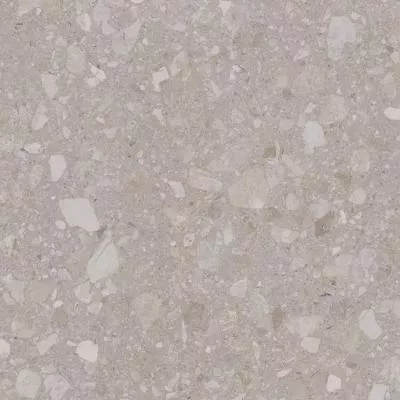 Плитка Teo Ceramics Terra Beige F P R Mat 60x60, Фото