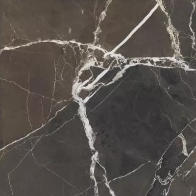 Плитка Zeus Ceramica FIERA DEL MARMO PULPIS BLACK ZRXFM9BR 60x60, Фото