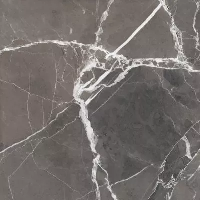 Плитка Zeus Ceramica FIERA DEL MARMO PULPIS GREY ZRXFM8BR 60x60, Фото