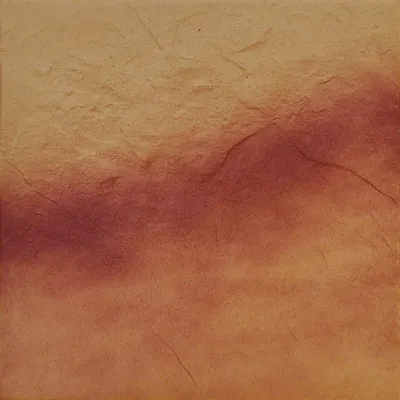 Плитка Cerrad Jesienny Lisc 5470, Фото