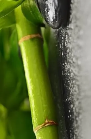 Декор Golden Tile Relax 494321, Фото