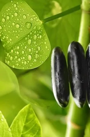 Декор Golden Tile Relax 494331, Фото