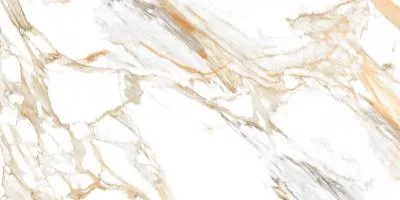 Плитка Raviraj Roman Satuario 60x120 polished, Фото