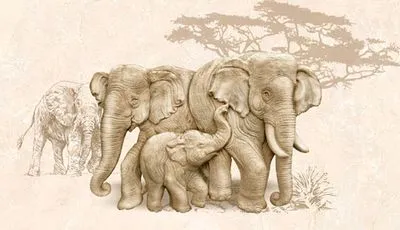 Декор Intercerama Safari коричневий (Д73031), Фото