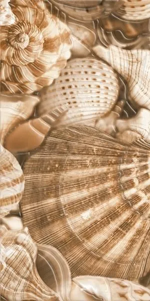 Декор Golden Tile Sea Breeze Shells Е11431, Фото