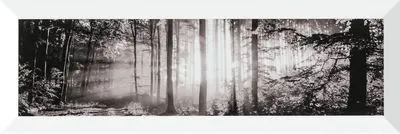 Декор Ceramika Pilch Simple dekor 2, Фото