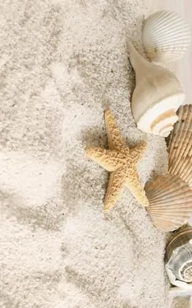 Декор Golden Tile Summer Stone Holiday В41321, Фото