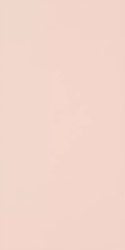 Плитка Paradyz SYNERGY CORAL SCIANA 30X60 G1, Фото