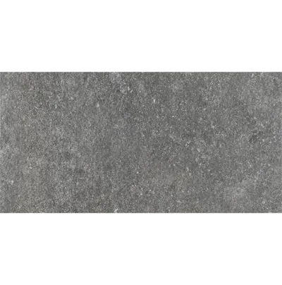 Плитка Stargres Spectre Grey Rett. 5901503201619 40x81x2, Фото