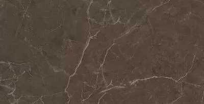 Плитка CERAMICA DESEO VENICE MARRONE EC729 60x120, Фото