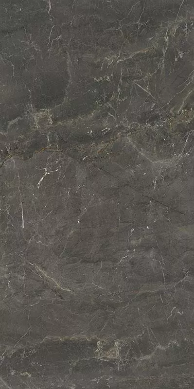 Плитка Paradyz WONDERSTONE GREY GRES poler 60x120, Фото